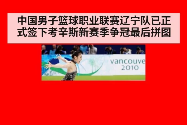 中国男子篮球职业联赛辽宁队已正式签下考辛斯新赛季争冠最后拼图